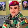 majeidstoni