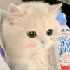 nhuw_171114