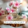 .shaimaa4