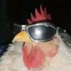 antsocool