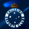 Torcedor do Cruzeiro Esporte C