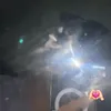 hahnkan_24