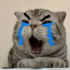 phamtrantrunghieu999