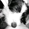 matute_520