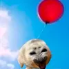 i_like_seals3