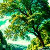 kakakwawa025