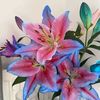 cythera015