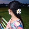 nona.nona_2