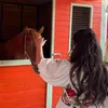 shad_zebare