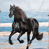 manigujjar5805