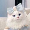 ranarizwan148310