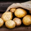 potato_is_delicious0