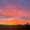 sarah_lally10