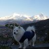 shyamgurung.shyam