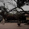 minh.anh6908