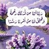 user8479634776314