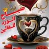 user2531971261614
