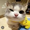 ji_huter