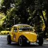 volksrod_brasil