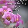 bakhita.alhaj