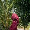 karr_sari