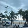 angellika.15