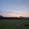 defo_not_alfie1