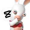 𝐐𝐢𝐧𝐪𝐢𝐧2