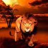 amjad.aljezani
