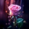 🌺sarso🧚🏻‍♀️