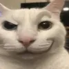 yvesntual.yyxy