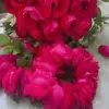 mrs.waqas725