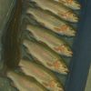 fishing12312