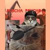puncha.poncho