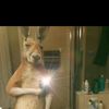 johan_2011.0