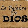rojasveliz1981