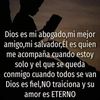 mado.pigu