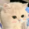 nd.mistake24