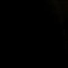 ramm_l0