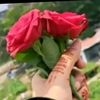 .nill....akaser