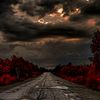 nyx_0897