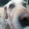 idkyoufucker