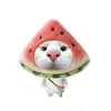 mai_ne51