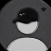 sentensa4