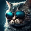 therealtvcats