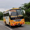 busestz