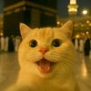 hayyie__4u