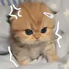 nannaa_ne