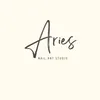 Aries.studio