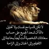 abo.mustafa540